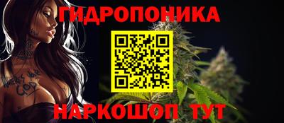 сатива Изобильный